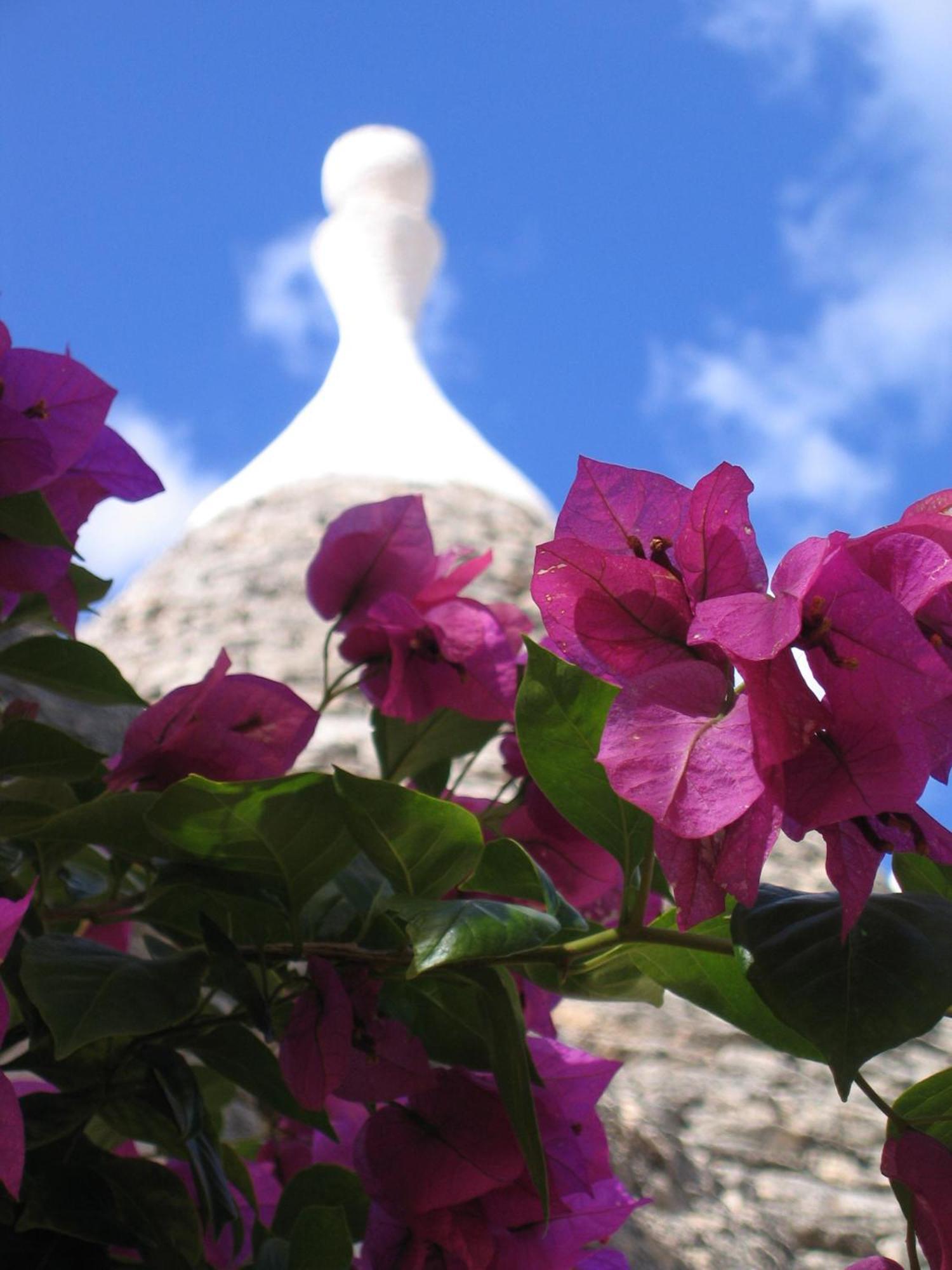 Vacanza In Puglia Alberobello Exterior photo